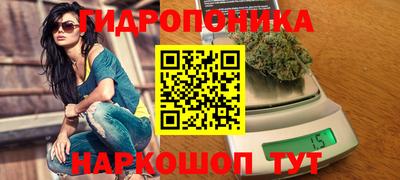 ПСИЛОЦИБИНОВЫЕ ГРИБЫ Новокубанск
