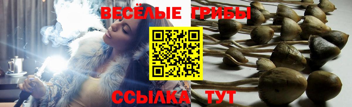 Галлюциногенные грибы Magic Shrooms  Вход с VPN  купить закладку  Азов 